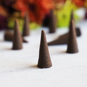 May include: A close-up of brown incense cones on a white surface. The cones are arranged in a row, with the closest cone in focus. The cones are a popular way to add fragrance to a room.