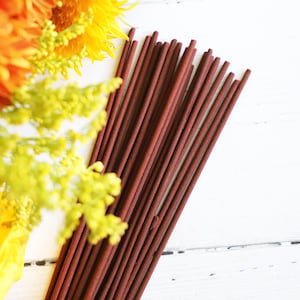 Sage Mint Incense Sticks with Burner, Aromatherapy, Bright, Fresh, Clean, Energetic Cleansing, Uplifting
