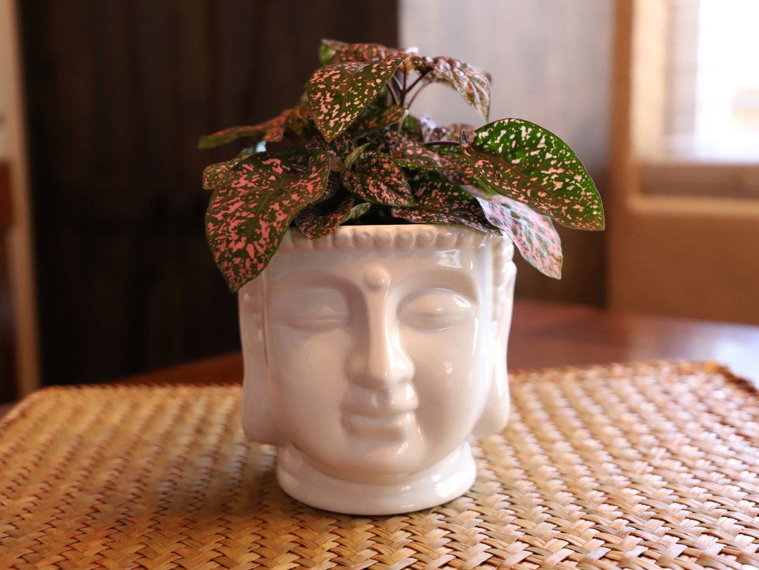 Porcelain Buddha Head Planter Patio Decor Spring Home Decor Etsy