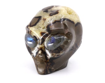 4" Septarian Stone Skull, Crystal Skull, Star Being, Alien, Geode, Dragon Egg