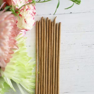 Feng Shui Guidance Incense Sticks – Fresh Cleansing Aromatherapy | Camphor, Lemon, Sandalwood Scent | Spiritual Home Fragrance