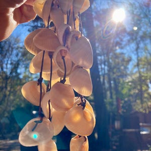 Solar Pulse Rattle – Woodburned Rhythm Bracelet & Cascading Shell Sound, Ocean Inspired for Meditation