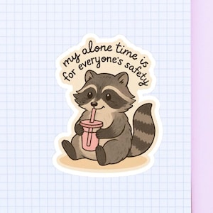 Cute Raccoon Sticker for Planners Laptop decal for Water Bottle and Scrapbooking Gift for her