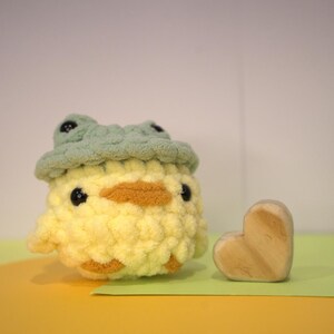 Baby Duck with a Frog Hat