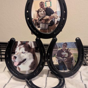 Stellar Custom Western Horseshoe Picture Frame