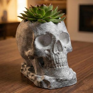 May include: A gray skull-shaped planter with a textured surface, holding a green succulent plant. The planter sits on a wooden surface, showcasing a unique decorative item for home decor.