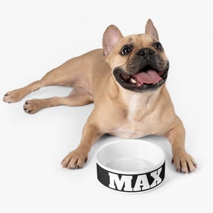 Comedero para mascotas, plato personalizado para perros, comedero personalizado para gatos, comedero para mascotas, comedero con nombre para animales
