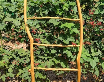 Red Cedar Limb Ladder - Organic Castlecore Decor | Artisan Wood Textile Display | Rustic Modern Heritage