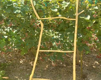 Red Cedar Limb Ladder - Castlecore Botanical Drying | Sophisticated Modern Heritage Piece | Architectural Dark Academia