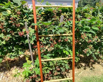 Red Cedar Ladder - Castlecore Interior Accent | Heirloom Quality | Architectural Heritage Decor