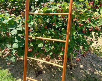 Red Cedar Ladder - Architectural Heritage Decor | Castlecore Blanket Rack | Hand-Split Wood Towel Stand