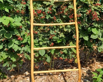 Red Cedar Limb Ladder - Found Object Ladder | Modern Heritage Minimalist Storage | Natural Castlecore Accent