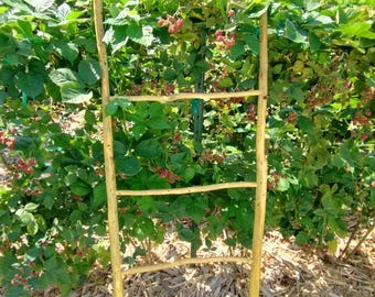 Red Cedar Limb Ladder - Castlecore Gothic Cottage | Slow-Made Artisan Wood Stand | Rustic Modern Heritage