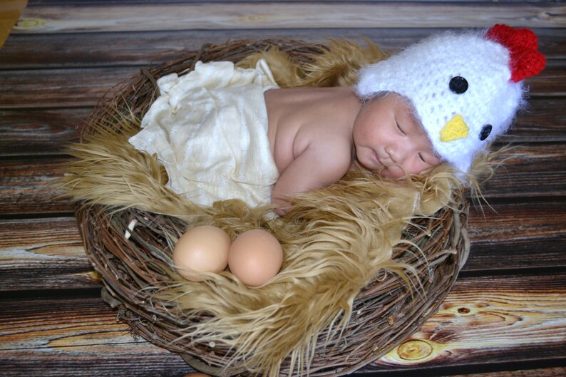 May include: A newborn baby wearing a white crocheted chicken hat sleeps in a nest made of twigs and faux fur. Two brown eggs are placed in the nest.