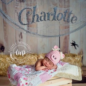 May include: A pink pig hat with a white snout and two black stitches for eyes. The hat is on a baby sleeping on a pink and white quilt in a wooden crate. The name 
