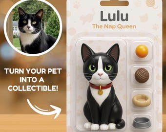 Custom Pet Action Figure, Personalized Cat Figurine, Custom Toy Figure, Pet Toy Box, Personalized Cat Toy, Digital Pet Portrait