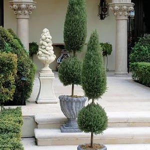May include: Outdoor scene featuring manicured topiary trees in decorative gray urns. The trees are various shapes, including cone and ball. A white stone sculpture and steps lead to a building with columns and arches. The text "Nocturnal Gardens" is in the upper left corner.