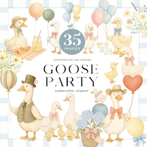 Goose With Balloon Clipart, Cute Silly Goose Png, Spring Vintage Cottagecore, Boho Baby Shower, Baby Birthday, Goose Party, Wildflowers