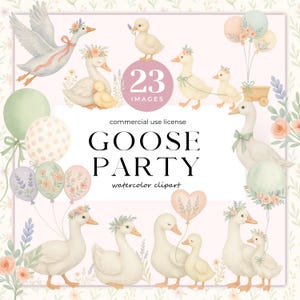 Goose With Balloon Clipart, Cute Silly Goose Png, Spring Vintage Cottagecore, Boho Baby Shower, Baby Birthday, Goose Party, Wildflowers