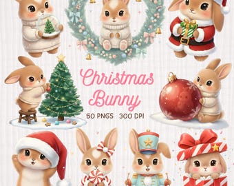 Clipartset kersthaas – illustratie winterkonijn, 50 png-bestanden