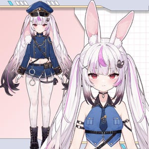 Vtuber Model | Premade Vtuber Model | Live2D Model | Fully Rigged | Ready to use