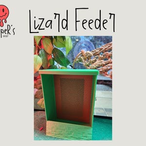 Bearded Dragon Bug Feeder Station | 3D Printed Roach Feeder | Woodie Box | Reptile Feeding Station | Enrichment Feeder | Vivarium lizard