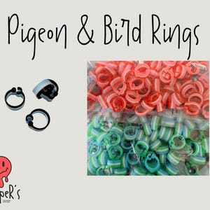 Colourful Pigeon leg bands, foot rings, Chicken clip, clips birds personalized colours, muti-colour poultry ducks geese 11mm