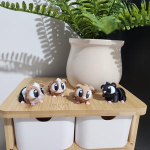 Conejillos de Indias - Mascotas de bolsillo de ojos brillantes, conejillos de indias articulados y flexibles de ojos lindos