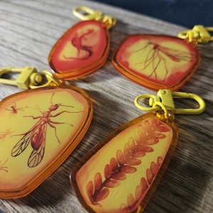 May include: Four acrylic keychains with yellow hardware. Each keychain features a different insect or plant design in shades of red, orange, and yellow. The designs include a dragon, mosquito, ant, and plant.