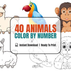 Color By Number -  Paint By Numbers, Paint By Number, Paint By Numbers Kit, paint by numbers kit, Coloring Book, Digital Download, Printable