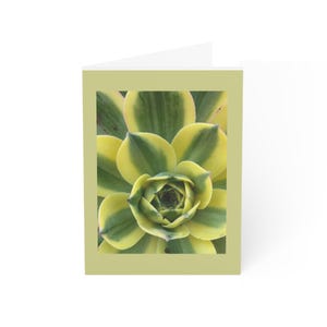 Cartões de felicitações (1, 10, 30 e 50 unidades)