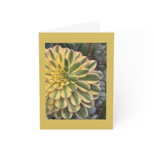 Cartões de felicitações (1, 10, 30 e 50 unidades)