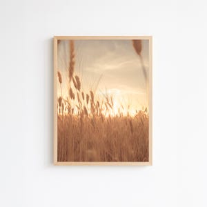 Golden Wheat Field at Sunset - Rustic Minimalist Landscape Wall Art Printable, Neutral Country Photography for Modern Home Decor
