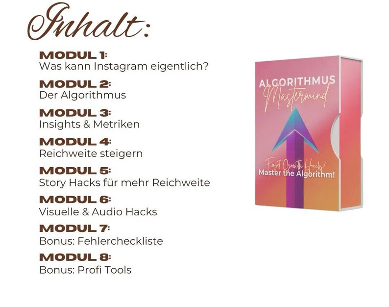 May include: A product box with the title "ALGORITHMUS Mastermind" and the tagline "Fast Create Hacks! Master the Algorithm!". The box is pink and orange with a blue and purple arrow design. The image also includes a list of modules.