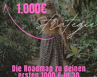 The 1000 Euro Strategy – The roadmap to your first 1000 euros in 30 days with PLR