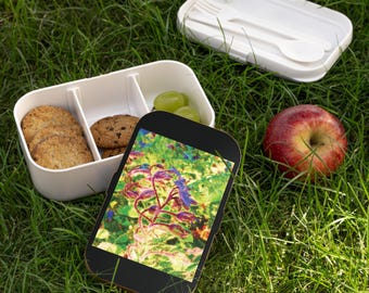 Bubbles Borage Bento Lunch Box: Silicone Tray, Wooden Lid, Cutlery