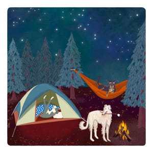 Puede incluir: Una tienda de campaña azul y verde con un saco de dormir en su interior, un perro en una hamaca y otro perro asando un malvavisco sobre una fogata bajo un cielo estrellado.