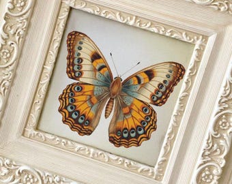 Orange Butterfly Cross Stitch Pattern  Nature Inspired PDF