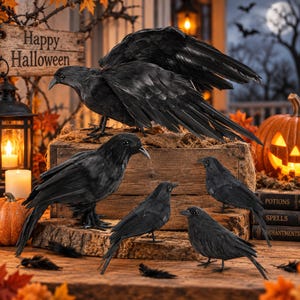 May include: A set of five black artificial crow figurines in various sizes and poses. One large crow has its wings spread wide, while four smaller crows are standing in different positions. The birds feature dark feathers and black beaks.