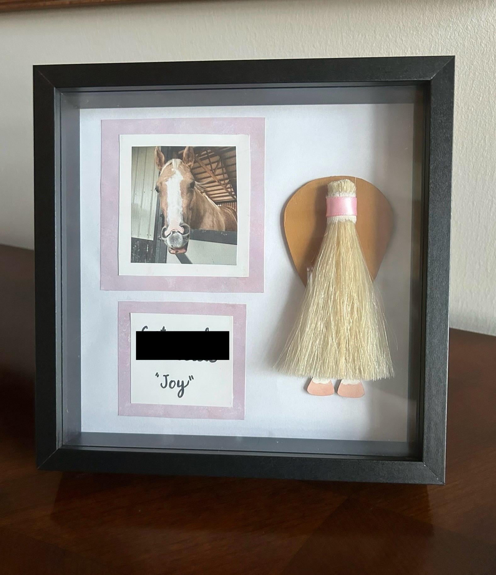 Custom Horse Tail Framed Portrait. Personalized Horse Tail Shadow Box. Horse Memorial & Keepsake