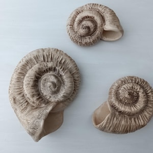 Pode incluir: Três esculturas de cerâmica em forma de concha de caracol de tamanhos variados, com acabamento bege brilhante, sulcos texturizados em castanho escuro e padrões em espiral. Cada peça tem uma abertura oca e uma estrutura detalhada.
