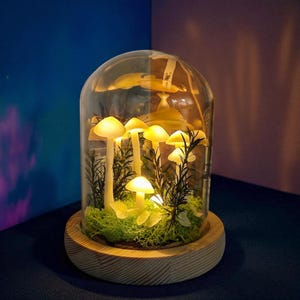 DIY Mushroom Night Light Kit – Cute Creative Gift for Girls, Friends or Lovers – Fun Birthday Present & Adorable Desktop Room Ornament