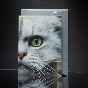 Cartão de felicitações de gato persa prateado - Lindo design de fotografia artística em preto com detalhes dourados - Em branco por dentro