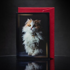 Carte de voeux pelucheuse blanche et rouge pour chat à poil long - Beau design de photographie d'art en noir avec des accents dorés - Blanc à l'intérieur