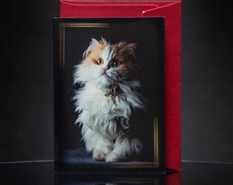 赤と白の長毛猫のグリーティングカード：ファインアート写真