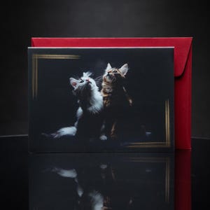 Carte de voeux mignons chatons - Beau design de photographie d'art en noir avec des accents dorés - Intérieur vierge - Chats des forêts norvégiennes