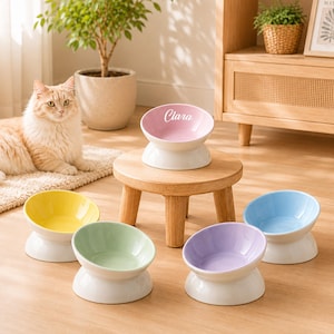 May include: A set of five ceramic pet bowls with a tilted design and white bases. The bowls come in pastel yellow, light green, lavender, light blue, and a pink bowl featuring the name Clara in white script text, all arranged on a wooden stool.