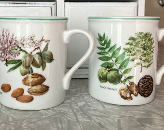 Tazas de cerámica vintage con diseño de árbol de nueces/almendra/nuez