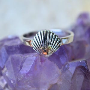 May include: A silver ring featuring a detailed seashell design. The ring's focal point is a fan-shaped seashell, with intricate lines radiating from the center. The ring is set against a purple crystal background, highlighting its metallic sheen.