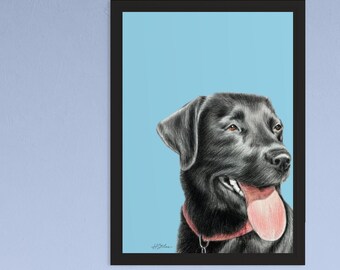 Black Labrador with Tongue Out, A4 Print from Drawing